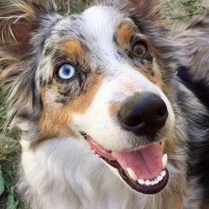 Meet your Posher, Kaylene